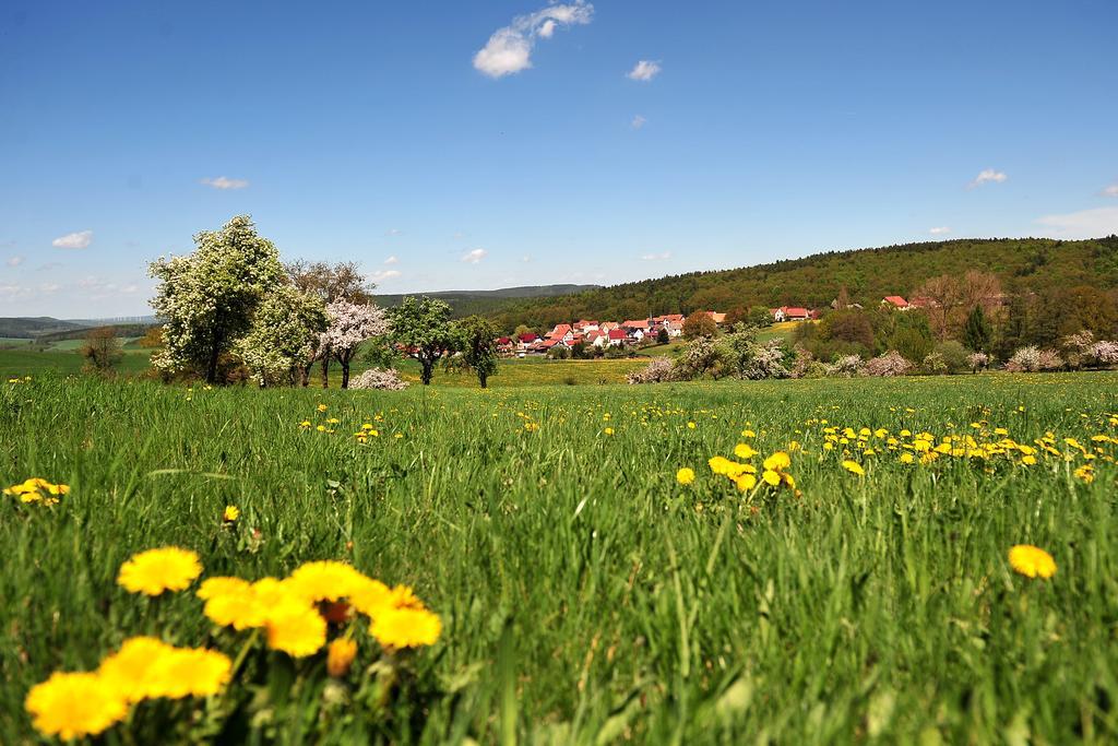 Landhotel Zur Gruenen Kutte Bernshausen Екстериор снимка