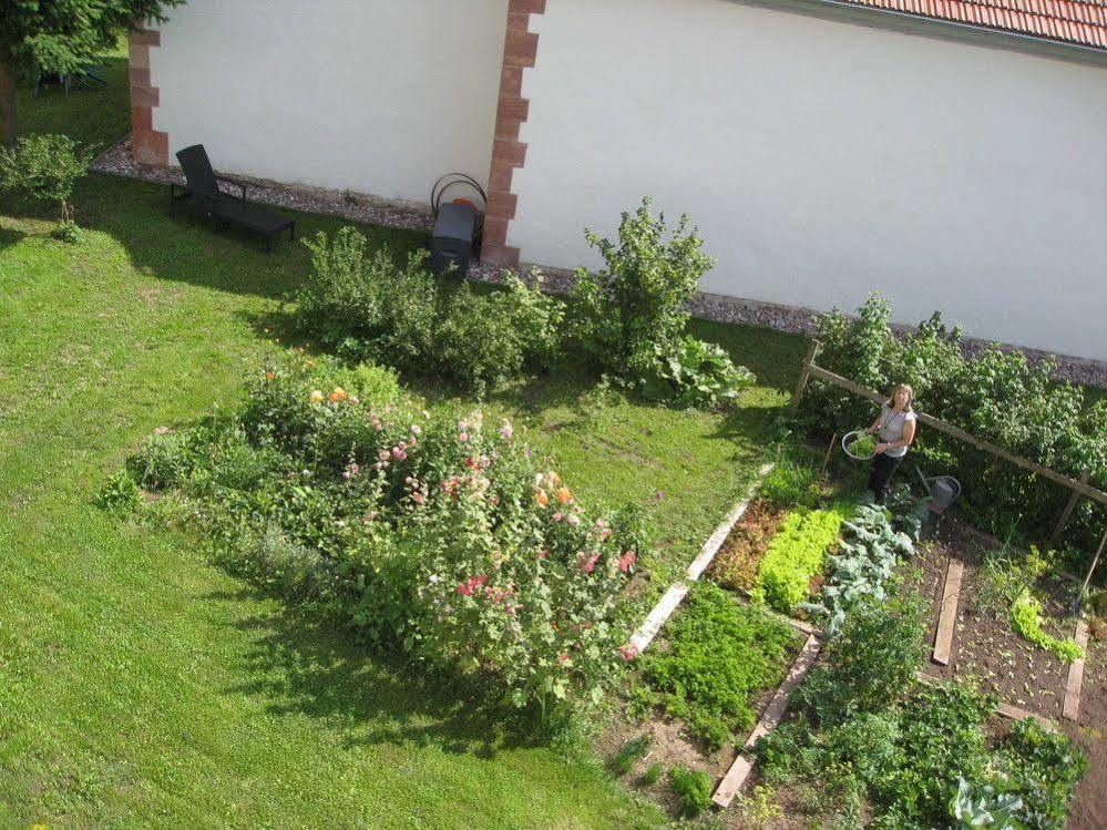 Landhotel Zur Gruenen Kutte Bernshausen Екстериор снимка